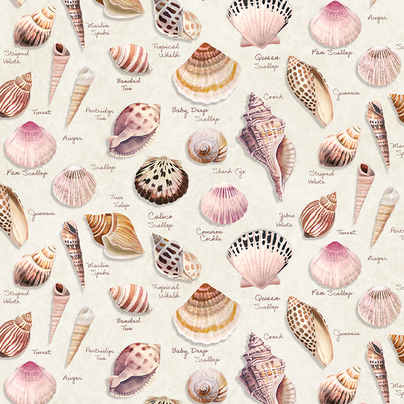 Seashell Wishes by Diane Neukirch for Clothworks